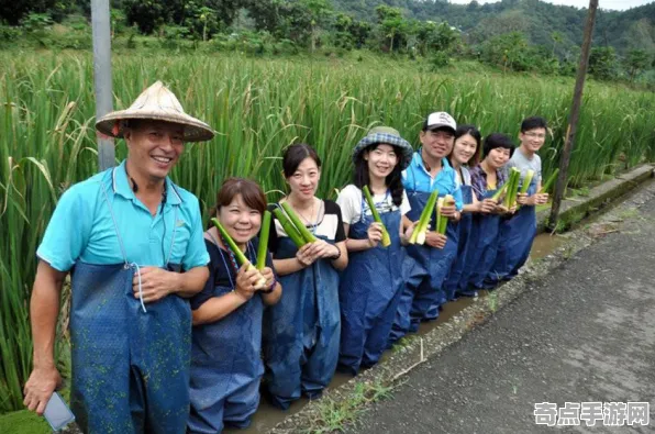 2025最新动态»农场小镇触觉反馈优化，独家内幕消息速看！